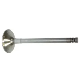 010-010R WSM Exhaust Valve