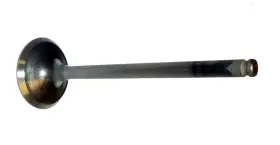 010-024 WSM Exhaust Valve Yamaha