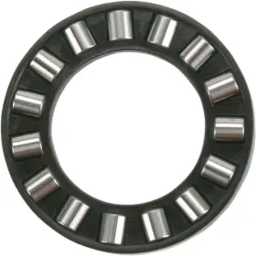 010-228-03 WSM Impeller Thrust Bearing Gtx Di Lrv Rx Xp