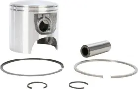 010-815K WSM Piston Kit #2