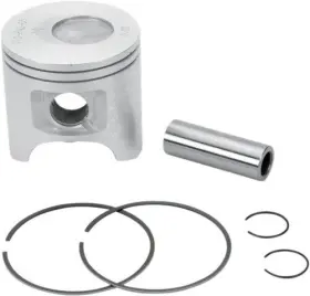 010-842-05K WSM Piston Kit