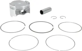 010-844K WSM Piston Standard Kit #2