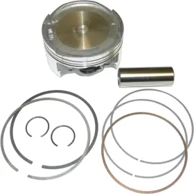 010-844K WSM Piston Standard Kit