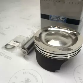 010-862K WSM Platinum Coated Piston Standard Kit #2