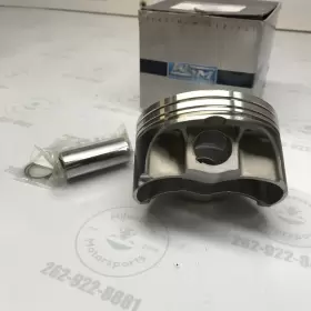 010-862K WSM Platinum Coated Piston Standard Kit #3