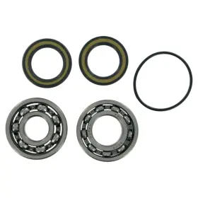 11359-W335238-19 WSM Jet Pump Repair Waverunner Ski Kit