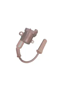 376-7807 WSM Ignition Coil Kit Efi Mercury