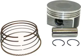 010-874-05PK WSM Platinum Piston Charged