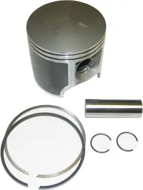 010-819-06PK WSM Platinum Piston