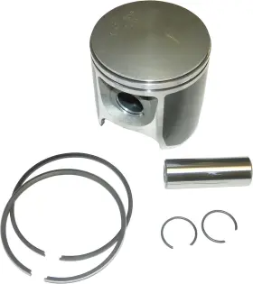 010-816PK WSM Platinum Piston