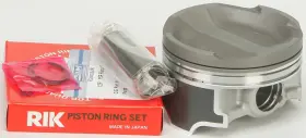 010-847PK WSM Platinum Piston Ultra