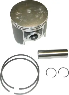 010-825PK WSM Platinum Piston