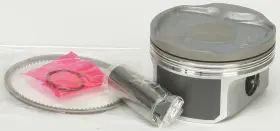 010-873-04PK WSM Platinum Piston Charged