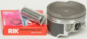 010-846PK WSM Platinum Piston Ultra Std 250