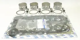 78-84610P WSM Platinum Top End Standard Kit
