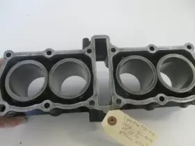 1WG-11310-00-00 YAMAHA Fzr Cylinder Block 400 #2