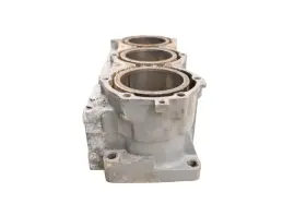 65U-11311-00-94 YAMAHA Waverunner Cylinder GP1200 #2