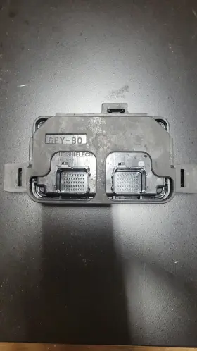 6EY-B0 YAMAHA Deluxe Ecu Engine Control Vx