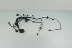2009-17 Rxp Rxt Gti Gtx Sea-doo Oem Electrical Engine Wiring Harness Loom Ass'y. Fixed Price $179.97.