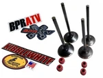 09-16 Kawasaki Kx450f Kx 450f Oem Head Kibblewhite Intake Exhaust Valves & Seals. Fixed Price $134.98.