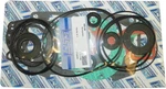 Wsm Complete Engine Gasket Kit Seadoo Gtx Gsx Xp Spx 800 787 Challenger. Fixed Price $88.99.