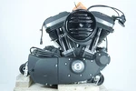 2022 Harley Sportster Xl883n Iron 883 Oem Efi Engine Motor Transmission 10k. Fixed Price $1710.00.