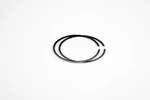Wsm Piston Ring Set For Polaris Virage Txi 1200 2001-2002 Standard 010-935. Fixed Price $39.03.