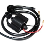Ignition Coil For Yamaha Ra700 Wave Raider 700 1994 1995. Fixed Price $30.00.