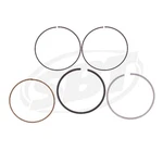 Sea-doo Spark Standard Ring Set -replaces 420892824 For 900 Ho Ace/3up Sbt. Fixed Price $47.99.