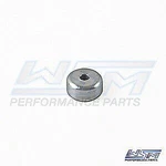 Ins Wsm Jet Pump Zinc Anode Sea-doo 900/1503 Challenger/gtx/gti/gtr 003-750. Fixed Price $11.99.
