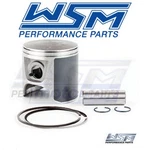 Wsm Platinum Series Piston Kit For 1997-1999 Sea-doo Spx - Engine Pistons Nj. Fixed Price $95.27.