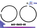 Fits Yamaha Gp1200r/xlt/xr1800 1200 66v-11603-00 Piston Ring Std 49-407 010-929. Fixed Price $40.00.