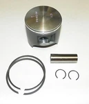 Wsm Polaris 700 Platinum Piston Kit Pwc 010-832-05pk .50 Size Oe. Fixed Price $91.91.