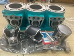 Kawasaki Stx Zxi 900 Engine Top End Kit With Cylinder, Bored And Honed. Fixed Price $685.00.