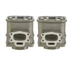 New Bare Sbt Cylinder Set Sea-doo 717/720 - 421000056, 420923806, 290923236,.... Fixed Price $589.99.