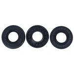 Sbt-crankshaft End Seal Kit For Tigershark 1000 Daytona/monte Carlo/ts. Fixed Price $36.95.