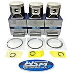 New Kawasaki 1100 80.50mm +.50mm Wsm Platinum Pistons 1996-2003 Zxi Stx. Fixed Price $258.42.