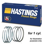Hastings 2m5153 Piston Rings X1 For Harley-davidson 1.9 103.12 Std. Fixed Price $63.99.