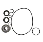 Sbt Jet Pump Rebuild Kit Honda F-12 2006. Fixed Price $149.95.