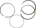 Wsm Piston Ring Set 99.96mm Bore Sea-doo 1503 Gti Gtr Gts Gtx Rxp Rxt 010-960. Fixed Price $55.87.