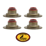 Kibblewhite 71047-4 Valve 5mm Stem .355" Guide Seals 4-pack Can-am Maverick X3. Fixed Price $15.95.