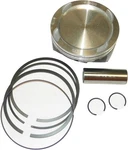 Wsm 010-861-05pk Platinum Series Piston Kit 0.50mm Oversize To 100.46mm Bore. Fixed Price $120.56.
