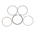 Sbt Ring Set Fits Sea-doo Spark 420892824 2014-2020 - 49-115-0. Fixed Price $53.99.