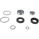 All Balls Racing Jet Pump Rebuild Kit 14-3005. Fixed Price $32.69.