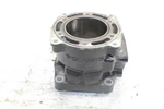 2002 Polaris Virage Oem Cylinder. Fixed Price $133.49.