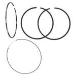 Wsm Piston Ring Set-100.46mm Bore For 2011-2016 Sea-doo Gti Limited 155 Jet Ski. Fixed Price $56.13.