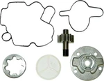 Wsm Oil Pump Rebuild Kit Secondary Front Sea-doo Rxp 2005 Only 4-tec 010-1210. Fixed Price $139.81.
