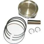 Wsm Piston 4-tec 100.46mm Supercharged 010-861-05pk. Fixed Price $122.98.