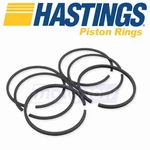 Hastings 2m6164020 Moly Ring Set For Engine Pistons Piston Rings Wn. Fixed Price $55.33.