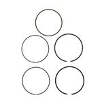 Sbt Standard Ring Yamaha V1/vx/ex/210 Fsh/ar210/sx210/exr - 1050 Tr1 -.... Fixed Price $40.99.